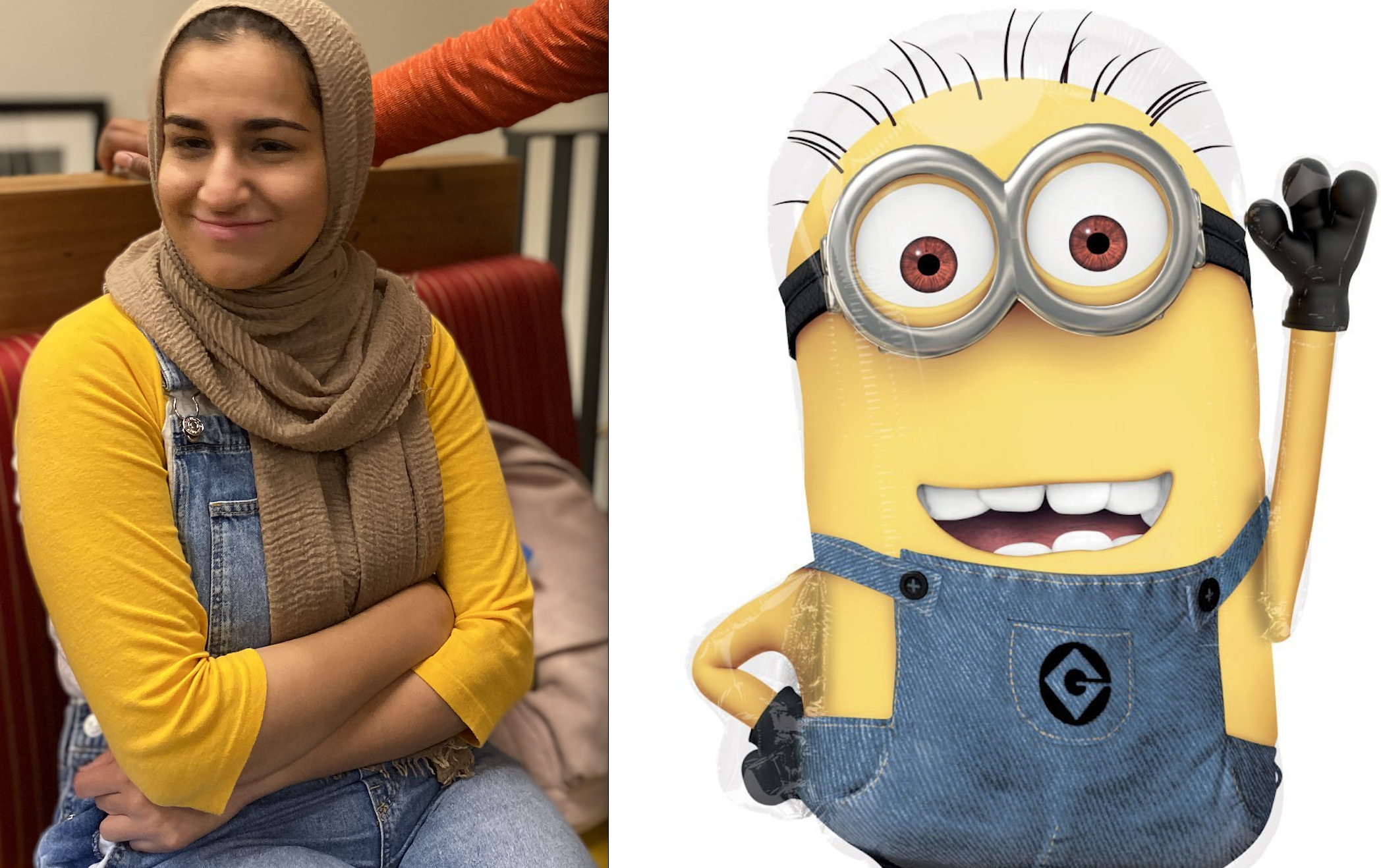 friend with minion